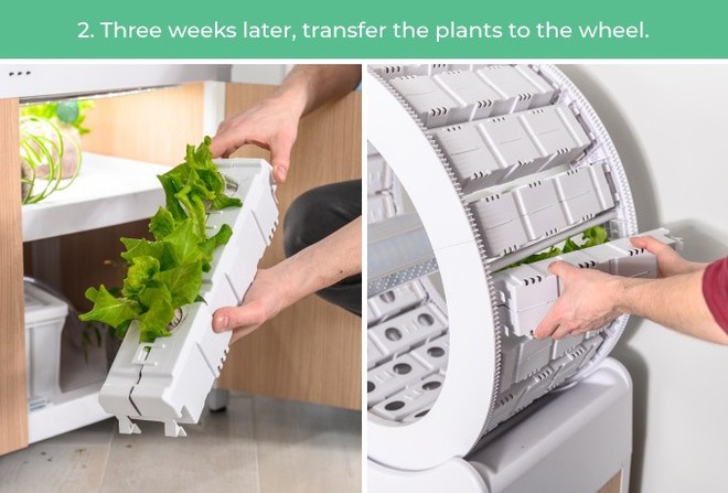 Tham khảo ngay cỗ máy này nếu bạn đang ở chung cư nhưng vẫn muốn ăn rau sạch tự trồng - Ảnh 8.
