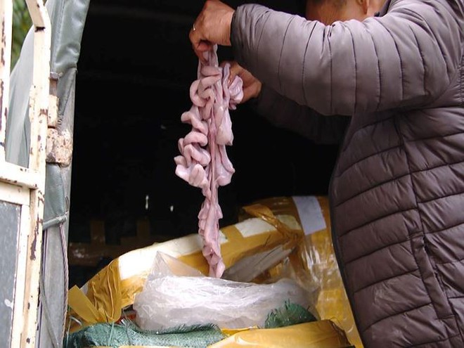 Hơn 1 tấn nội tạng không rõ nguồn gốc chuẩn bị vào nhà hàng ở Hà Nội - Ảnh 6.