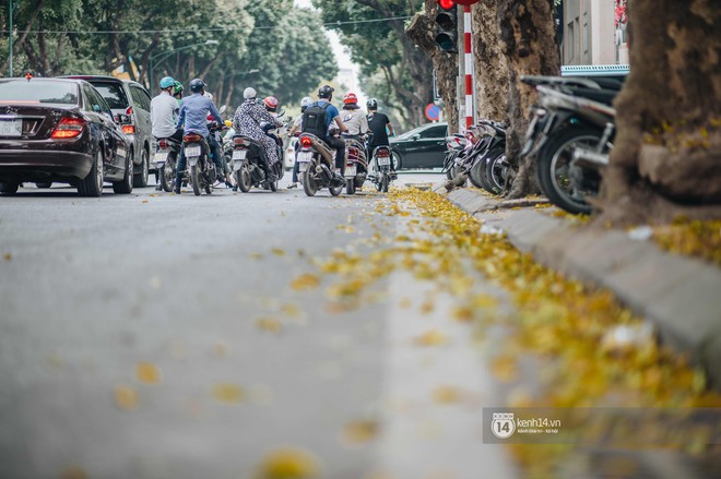 Hà Nội mùa lá rụng: Khi mọi thứ bỗng trở nên đẹp hoàn hảo như một thước phim! - Ảnh 3. Hà Nội mùa lá rụng: Khi mọi thứ bỗng trở nên đẹp hoàn hảo như một thước phim! - Ảnh 3.