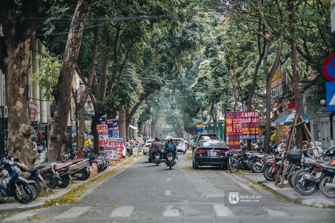 Hà Nội mùa lá rụng: Khi mọi thứ bỗng trở nên đẹp hoàn hảo như một thước phim! - Ảnh 3. Hà Nội mùa lá rụng: Khi mọi thứ bỗng trở nên đẹp hoàn hảo như một thước phim! - Ảnh 3.