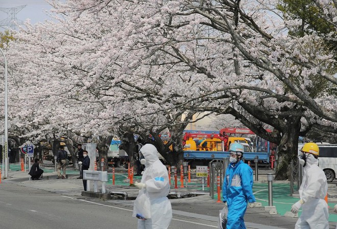 8 năm sau thảm họa hạt nhân, Fukushima hồi sinh đón người dân trở về - Ảnh 3.