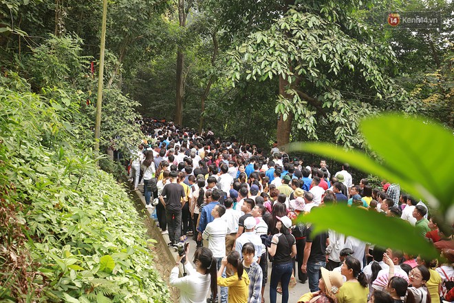 Hàng vạn người đổ về Đền Hùng trước ngày Giỗ tổ Hùng Vương - Ảnh 2.