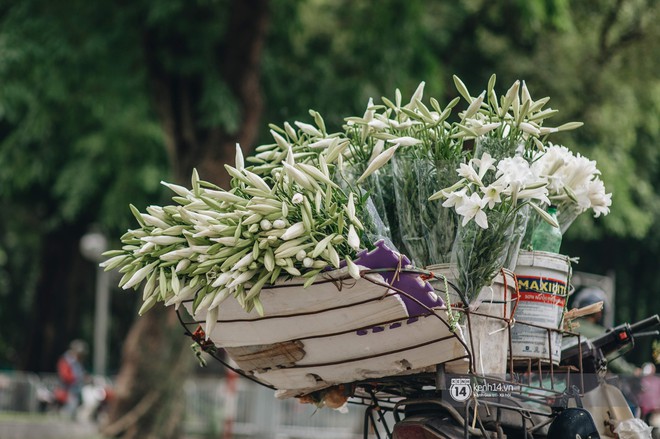 Hà Nội tháng 4: Hoa loa kèn nở e ấp trên phố, từng cánh trắng muốt và thoảng hương dịu ngọt - Ảnh 11.