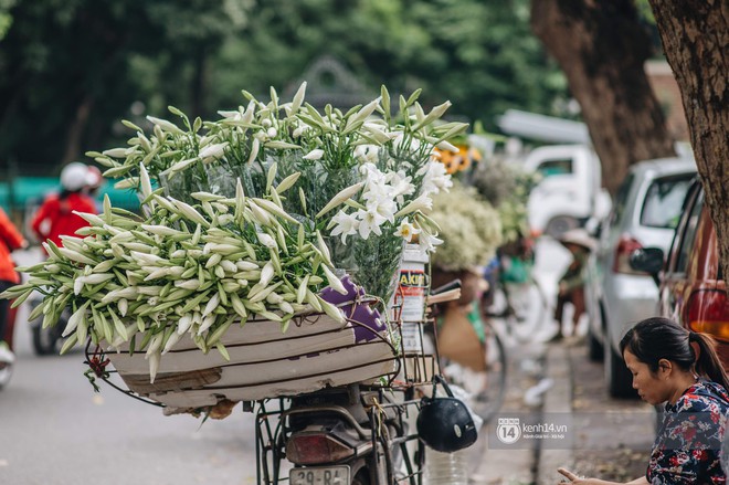 Hà Nội tháng 4: Hoa loa kèn nở e ấp trên phố, từng cánh trắng muốt và thoảng hương dịu ngọt - Ảnh 9.