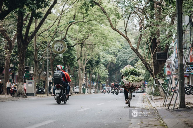 Hà Nội tháng 4: Hoa loa kèn nở e ấp trên phố, từng cánh trắng muốt và thoảng hương dịu ngọt - Ảnh 13.