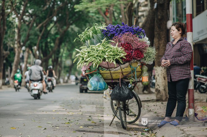 Hà Nội tháng 4: Hoa loa kèn nở e ấp trên phố, từng cánh trắng muốt và thoảng hương dịu ngọt - Ảnh 10.