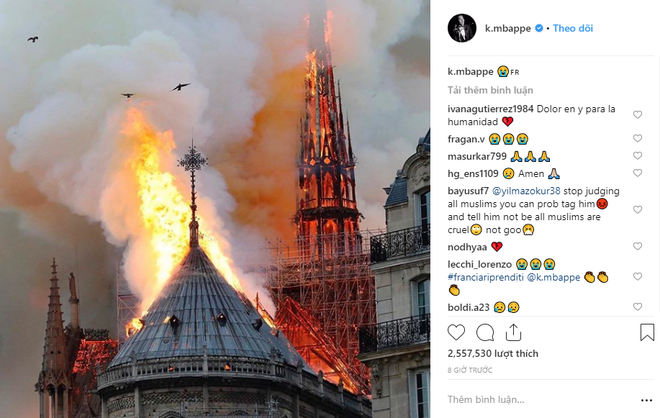 Nghệ sĩ thế giới bàng hoàng trước vụ Nhà thờ Đức Bà Paris bốc cháy: Cảm thấy bất lực khi chứng kiến cảnh tượng này - Ảnh 7.