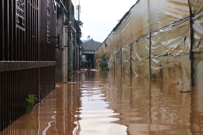 Đà Lạt mưa lớn kéo dài, nhiều nơi ngập nặng, người dân cuống cuồng lội nước - Ảnh 2.