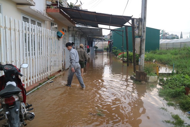 Đà Lạt mưa lớn kéo dài, nhiều nơi ngập nặng, người dân cuống cuồng lội nước - Ảnh 6.