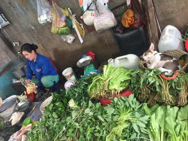 Boss chó lăn quay ra ngủ ngon lành giữa chợ: Cuối tuần nắng nóng thì chỉ ngủ thôi chứ buôn bán gì tầm này! - Ảnh 1.