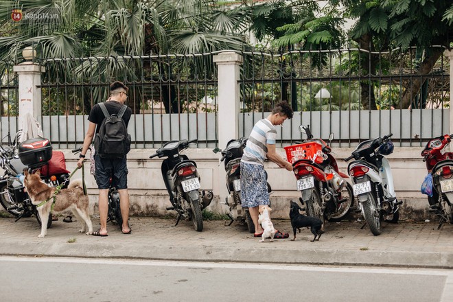 Hà Nội oi nóng ngộp thở, nhiều người mang theo cả thú cưng ra Hồ Tây tắm bất chấp biển cấm - Ảnh 11.