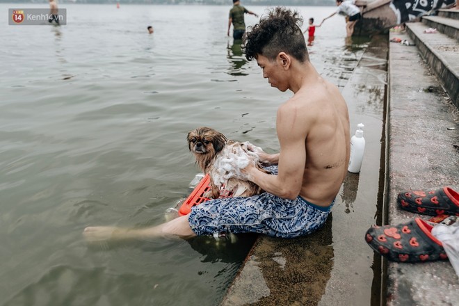 Hà Nội oi nóng ngộp thở, nhiều người mang theo cả thú cưng ra Hồ Tây tắm bất chấp biển cấm - Ảnh 13.