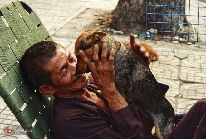Tấm bảng Chó là bạn, không phải thức ăn của người đàn ông 20 năm bầu bạn với những chú chó ngoài đường phố Sài Gòn - Ảnh 8.