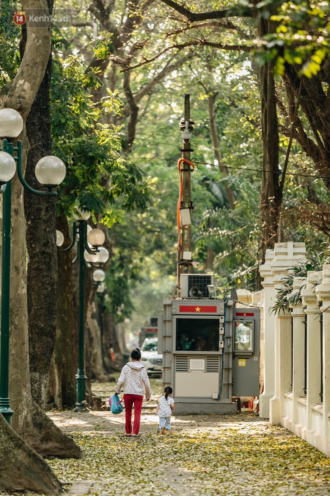 Mùa lá sấu tung bay, người dân kéo tới chụp ảnh ở con đường lãng mạn nhất Thủ đô dù nắng nóng 40 độ C - Ảnh 6.