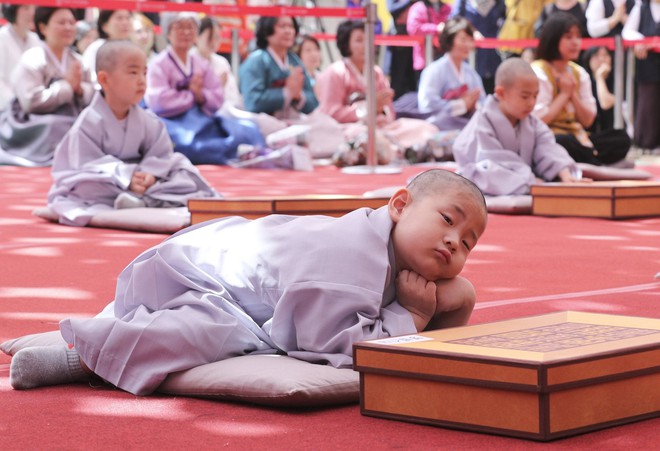 Loạt sắc thái đáng yêu hết nấc của các chú tiểu trong ngày xuống tóc đón lễ Phật Đản ở Hàn Quốc - Ảnh 6.