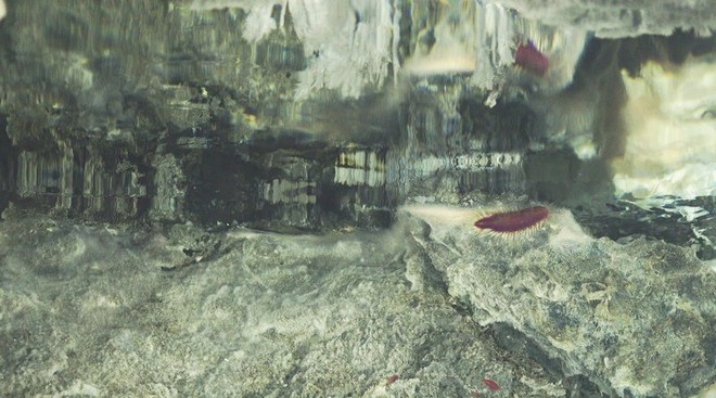 Tháp hồng soi bóng hồ gương dưới đáy biển: Kỳ quan tuyệt đẹp mới được tìm ra tại California - Ảnh 7.
