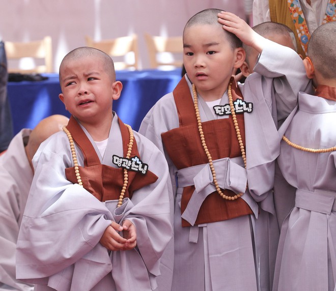 Loạt sắc thái đáng yêu hết nấc của các chú tiểu trong ngày xuống tóc đón lễ Phật Đản ở Hàn Quốc - Ảnh 13.