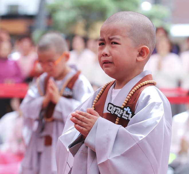 Loạt sắc thái đáng yêu hết nấc của các chú tiểu trong ngày xuống tóc đón lễ Phật Đản ở Hàn Quốc - Ảnh 12.