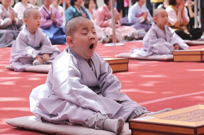 Loạt sắc thái đáng yêu hết nấc của các chú tiểu trong ngày xuống tóc đón lễ Phật Đản ở Hàn Quốc - Ảnh 5.