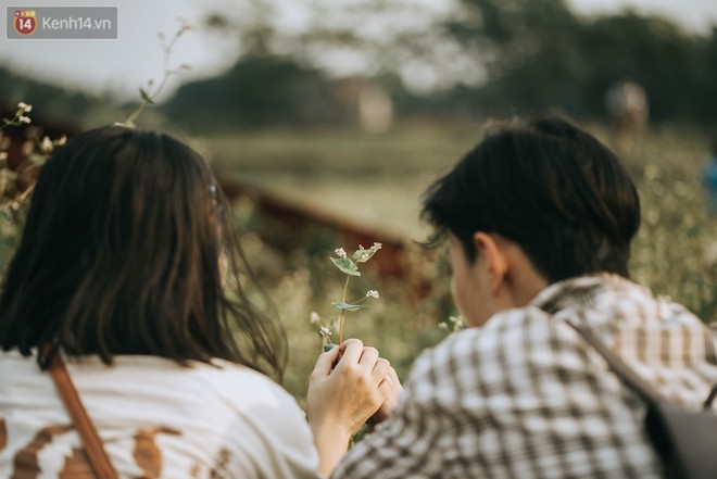 Chẳng cần l&#234;n tận H&#224; Giang v&#236; H&#224; Nội cũng đang c&#243; c&#225;nh đồng tam gi&#225;c mạch ng&#250;t ng&#224;n, nh&#236;n th&#244;i cũng đủ m&#225;t cả l&#242;ng - Ảnh 7.