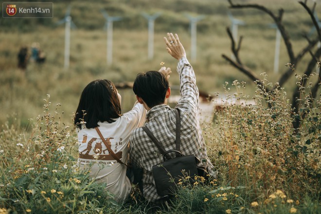 Chẳng cần lên tận Hà Giang vì Hà Nội cũng đang có cánh đồng tam giác mạch ngút ngàn, nhìn thôi cũng đủ mát cả lòng - Ảnh 13.