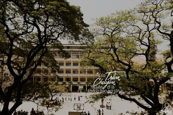 Ghé thăm Trần Chuyên - Ngôi trường THPT đẹp xinh như những bộ phim lãng mạn kiểu Pháp giữa lòng Sài Gòn - Ảnh 6.