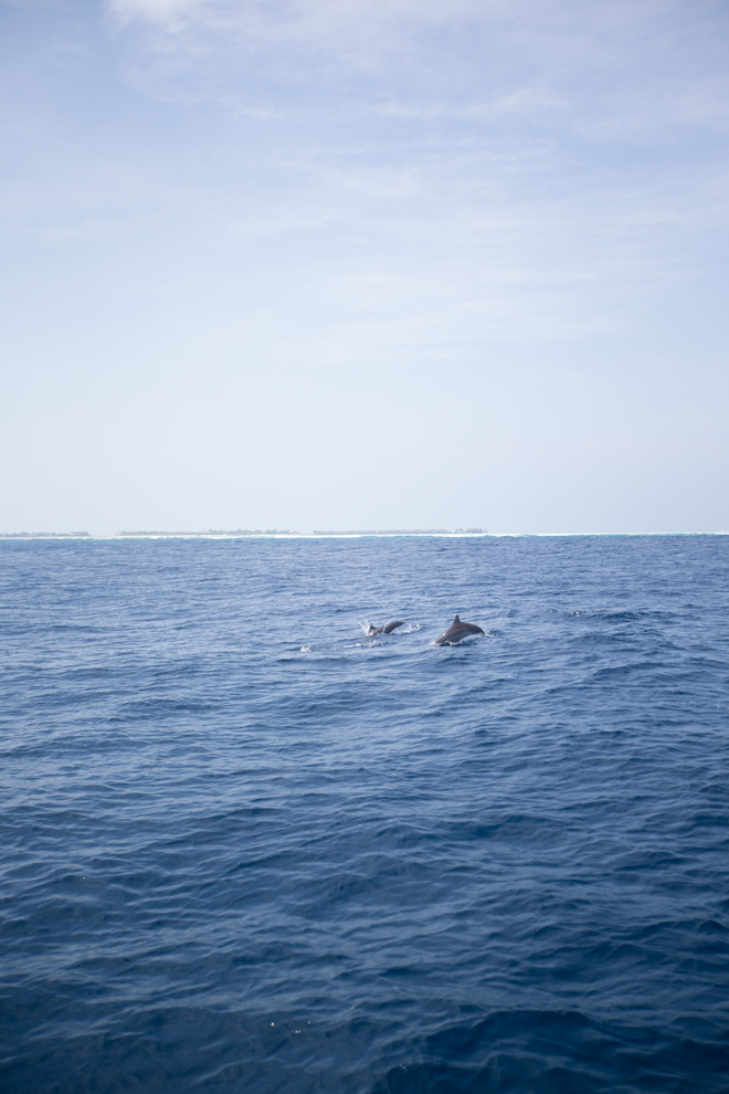 Bộ ảnh thiên đường hạ giới Maldives vừa được cô gái Việt Nam check in trông cũng rất gì và này nọ - Ảnh 14.