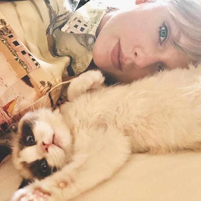 Taylor Swift và Lisa (Black Pink) đúng là 2 chị em: Ngoại hình giống nhau đã đành, đến 2 chú mèo cưng nhìn cũng như sinh đôi - Ảnh 2.