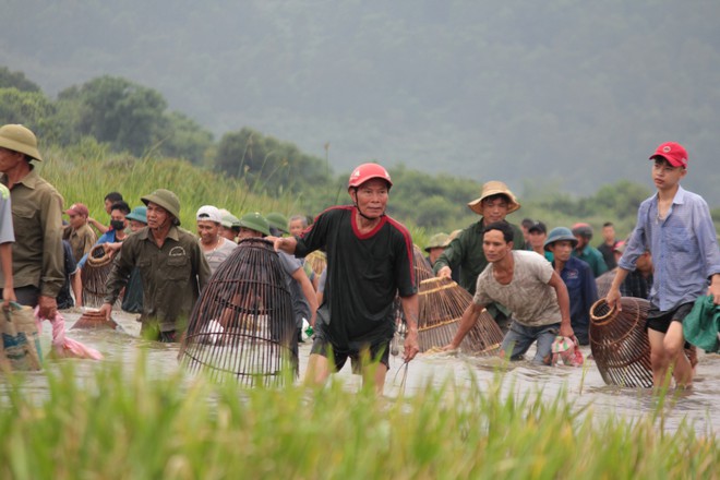 Sau tiếng h&uacute;, cả l&agrave;ng &ugrave;a v&agrave;o đ&aacute;nh bắt c&aacute; trong lễ hội Đồng Hoa - Ảnh 5.