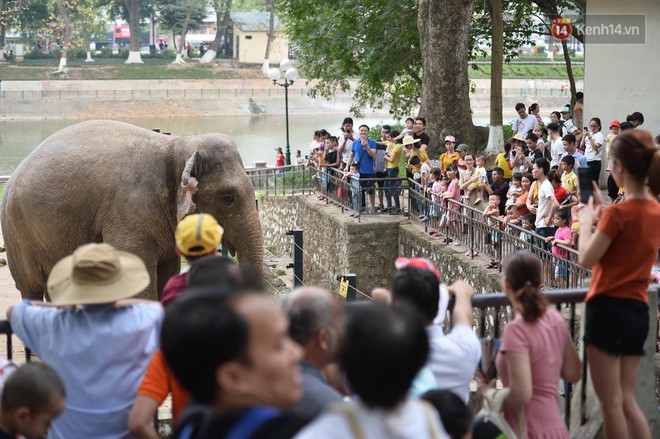 Khu vui chơi, trung tâm thương mại, rạp phim ở Thủ đô đông đúc trong ngày đầu nghỉ lễ - Ảnh 5.