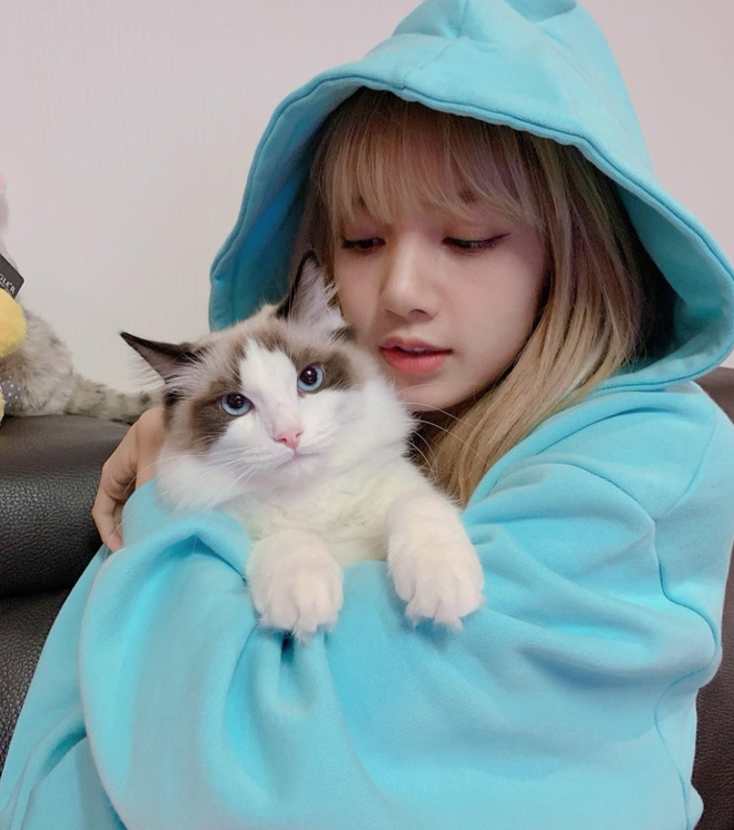 Tham quan tủ đồ của Taylor Swift và Lisa Blackpink và tìm hiểu phong cách thời trang của hai cô nàng xinh đẹp. Từ những set đồ cá tính đến những chiếc váy lộng lẫy, bạn sẽ tìm thấy những khung hình đẹp và nổi bật.