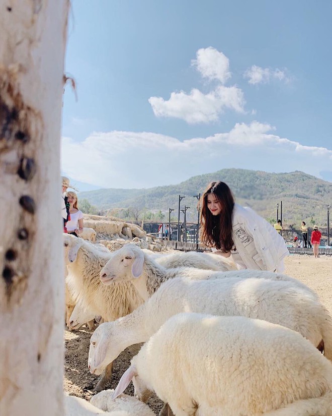 Chủ nhà treo “biển” vì quá mệt mỏi trước “cú lừa” của chị Google khi biến nhà dân thành Hồ Đá Xanh, Vũng Tàu. - Ảnh 10.