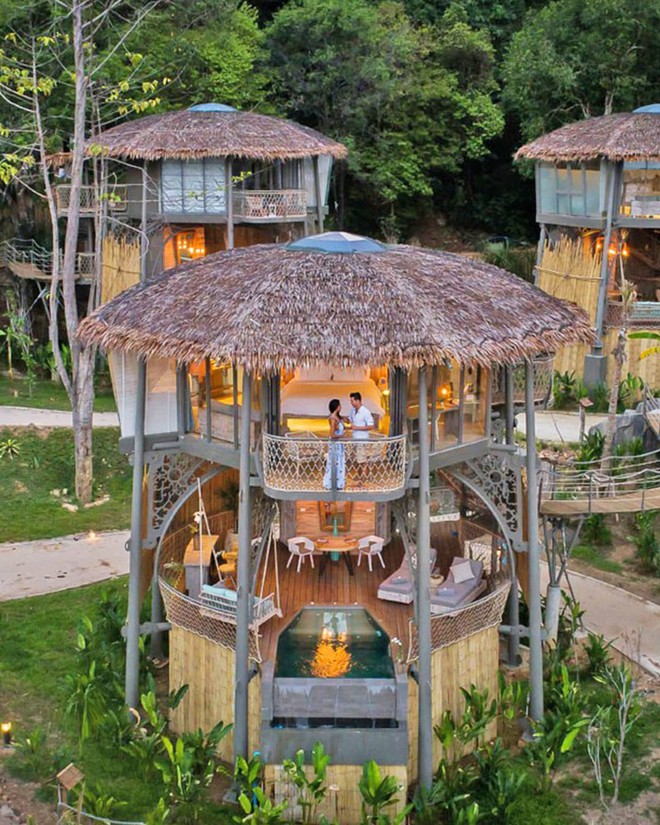 Treo mình như Tarzan ngoài đời thực ở resort 5 sao trên cây đang là tâm điểm Thái Lan - Ảnh 4.