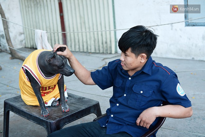 Câu chuyện tình bạn đáng yêu giữa bé chó xấu xí bị bỏ rơi và người mẹ đơn thân ở Sài Gòn - Ảnh 3.