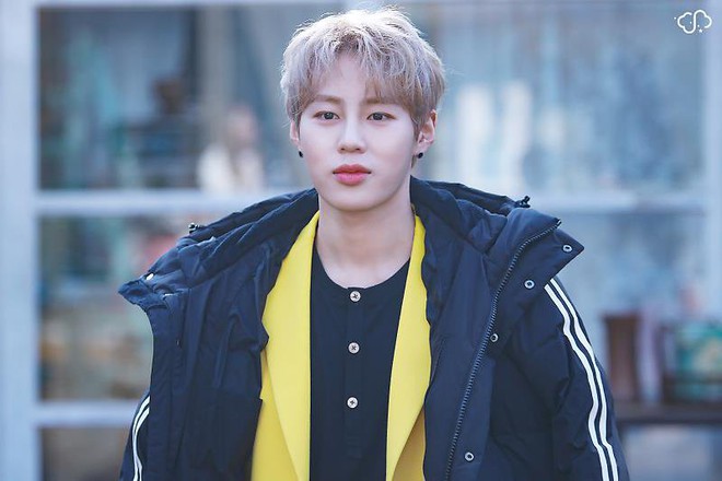 Hơn cả đụng h&agrave;ng, việc c&aacute;c cựu th&agrave;nh vi&ecirc;n Wanna One c&ugrave;ng mặc một chiếc &aacute;o lại mang &yacute; nghĩa khiến fan ấm l&ograve;ng - Ảnh 2.