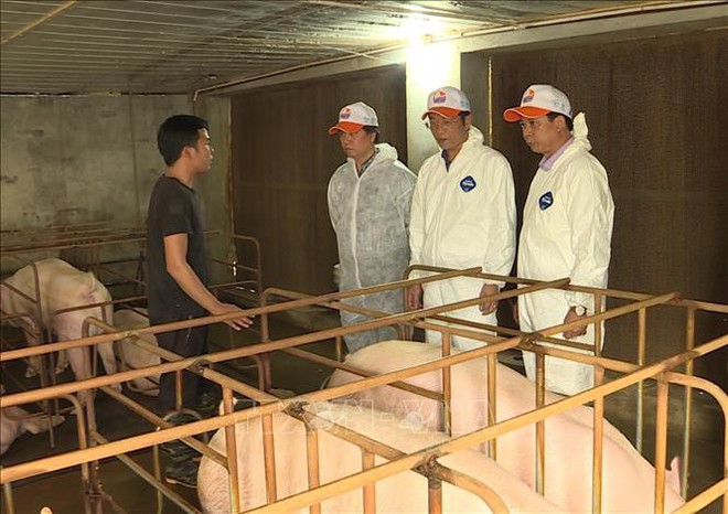 Hưng Y&ecirc;n k&ecirc;u gọi người ti&ecirc;u d&ugrave;ng kh&ocirc;ng quay lưng với thịt lợn  - Ảnh 1.