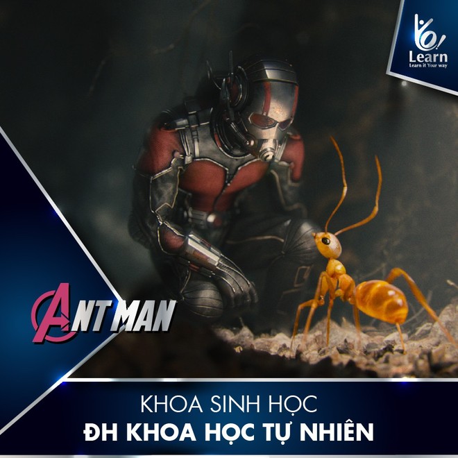 Vừa hài hước lại chuẩn khỏi cần chỉnh: Nếu ở Việt Nam thì các siêu anh hùng Avengers sẽ học ngành gì và trường nào? - Ảnh 6.