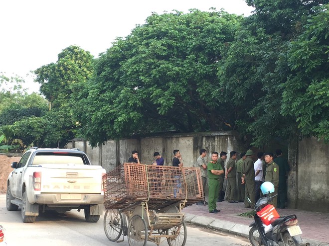 Công an bắt giữ đàn chó cắn tử vong bé trai 7 tuổi ở Hưng Yên - Ảnh 1.