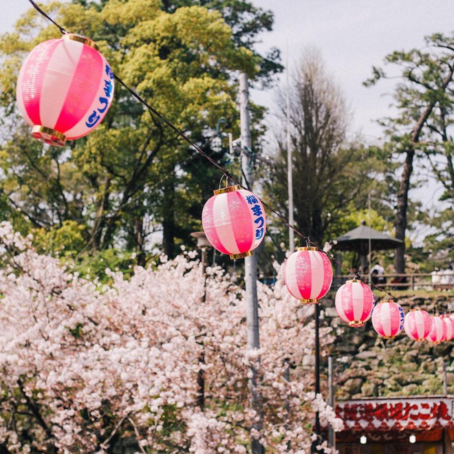 Không hổ danh “nữ thần của các loài hoa”, Tokyo vừa nhuộm hồng với hoa anh đào là thấy Phương Ly đã check-in ngay và luôn! - Ảnh 11.