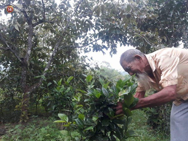 Ngưỡng mộ tình yêu ông bà anh qua 70 mùa hoa nở ở Nghệ An: Ngày kỷ niệm hay lễ lộc gì cũng phải có quà cho vợ!  - Ảnh 4.