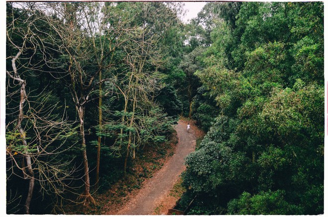 Ngay giữa lòng một trường Đại học ở Hà Nội xuất hiện khu rừng rộng 110ha, mùa nào cũng đẹp như tranh vẽ - Ảnh 12.