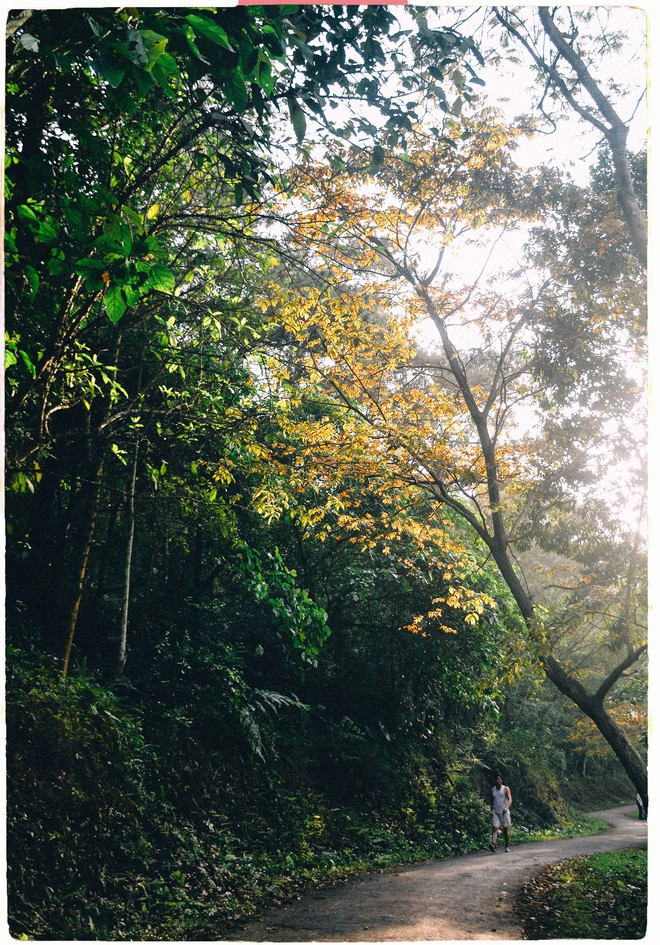 Ngay giữa lòng một trường Đại học ở Hà Nội xuất hiện khu rừng rộng 110ha, mùa nào cũng đẹp như tranh vẽ - Ảnh 11.