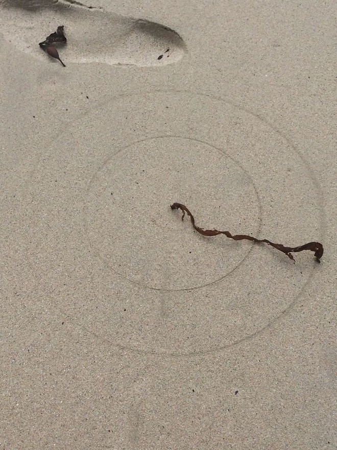 Chùm ảnh: Những tác phẩm nghệ thuật siêu thực nhất của tạo hóa và con người từng được tìm thấy ở bãi biển - Ảnh 2.
