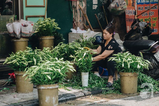 Tháng 4 về, Hà Nội lại dịu dàng những gánh loa kèn trắng tinh khôi, thơm nồng nàn khắp các góc phố - Ảnh 9.