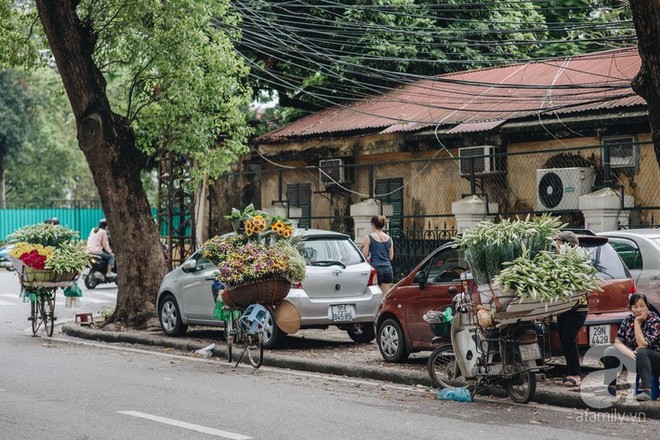 Tháng 4 về, Hà Nội lại dịu dàng những gánh loa kèn trắng tinh khôi, thơm nồng nàn khắp các góc phố - Ảnh 5.