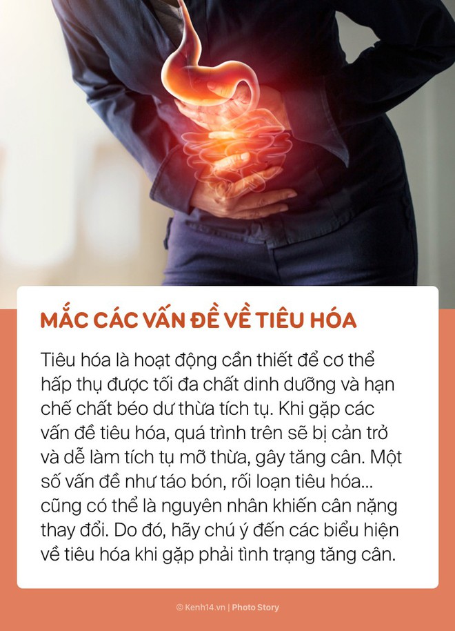 Ăn ít mà vẫn tăng cân, có thể bạn đang gặp phải những vấn đề sức khoẻ này - Ảnh 1.