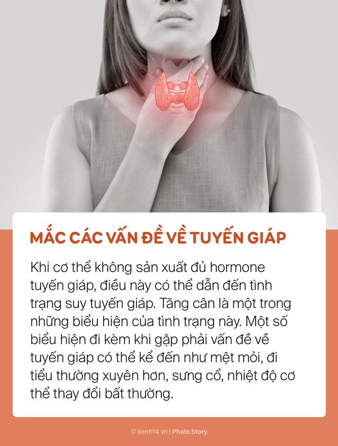 Ăn ít mà vẫn tăng cân, có thể bạn đang gặp phải những vấn đề sức khoẻ này - Ảnh 9.