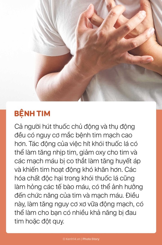 Khói thuốc lá và những tác hại nghiêm trọng đến sức khoẻ của những người xung quanh - Ảnh 7.