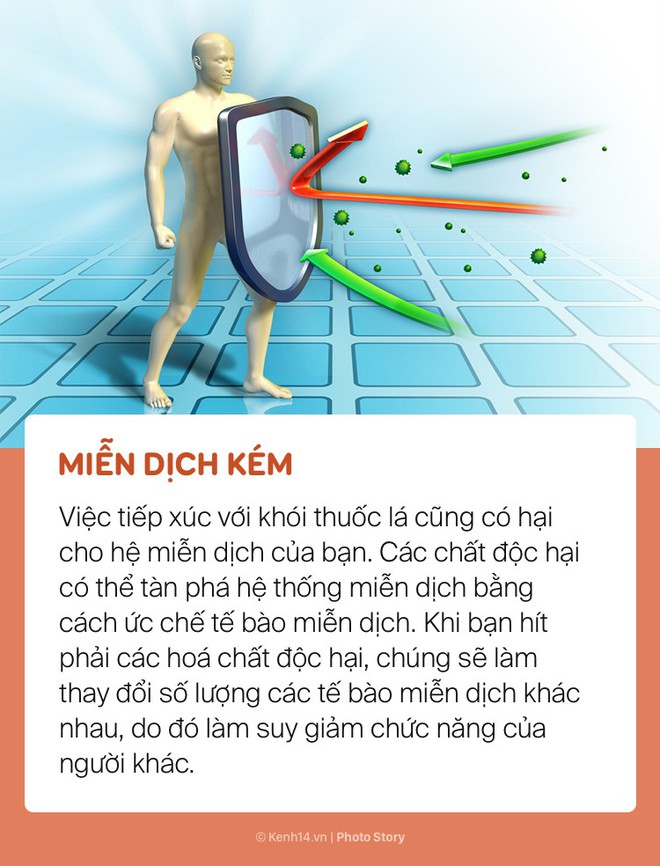 Khói thuốc lá và những tác hại nghiêm trọng đến sức khoẻ của những người xung quanh - Ảnh 11.