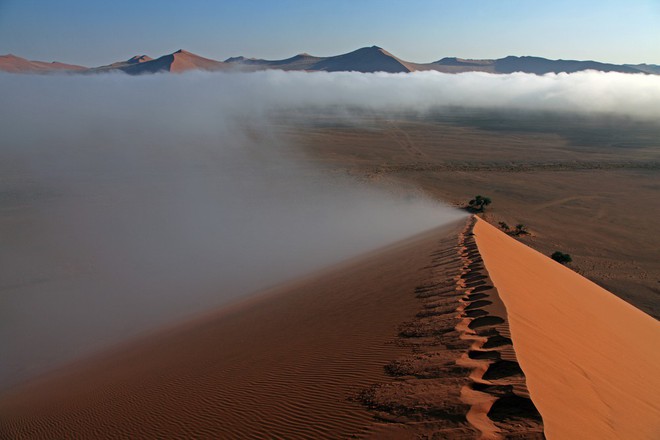 Chiến thuật sinh tồn tuyệt vời của loài bọ sống tại một trong những sa mạc khô nhất thế giới - Ảnh 2.
